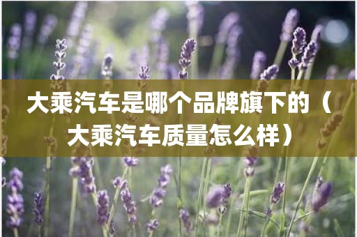 大乘汽车是哪个品牌旗下的（大乘汽车质量怎么样）