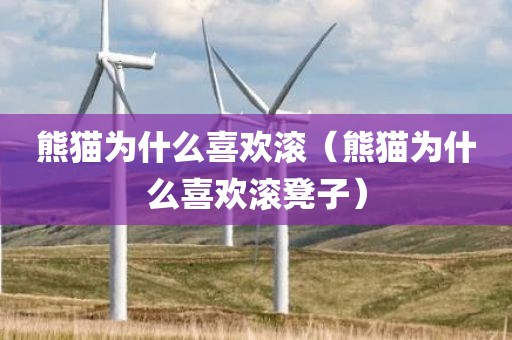 熊猫为什么喜欢滚（熊猫为什么喜欢滚凳子）