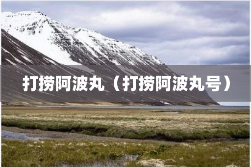 打捞阿波丸（打捞阿波丸号）