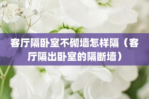 客厅隔卧室不砌墙怎样隔（客厅隔出卧室的隔断墙）