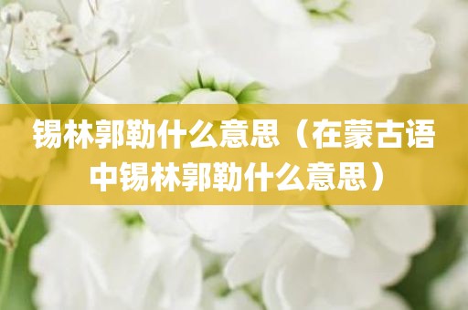 锡林郭勒什么意思（在蒙古语中锡林郭勒什么意思）