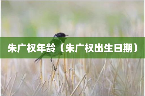 朱广权年龄（朱广权出生日期）