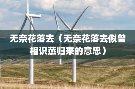 无奈花落去（无奈花落去似曾相识燕归来的意思）