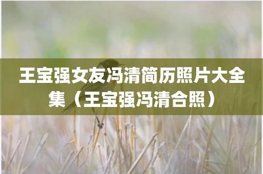 王宝强女友冯清简历照片大全集（王宝强冯清合照）