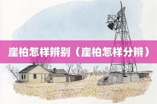 崖柏怎样辨别（崖柏怎样分辨）