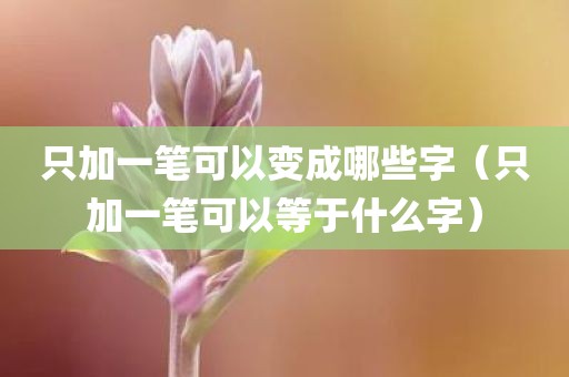 只加一笔可以变成哪些字（只加一笔可以等于什么字）