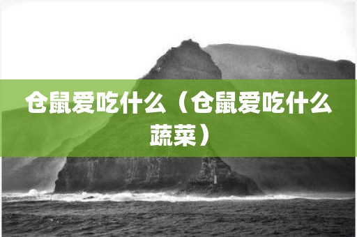 仓鼠爱吃什么（仓鼠爱吃什么蔬菜）
