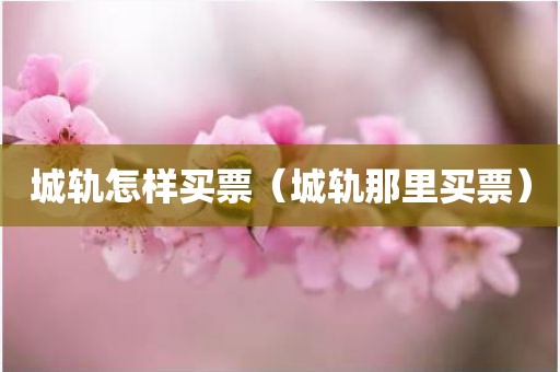 城轨怎样买票（城轨那里买票）