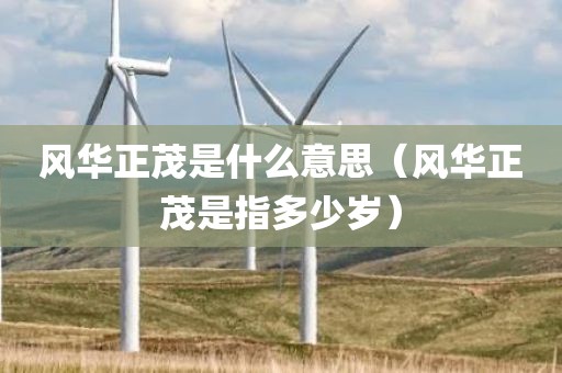 风华正茂是什么意思（风华正茂是指多少岁）