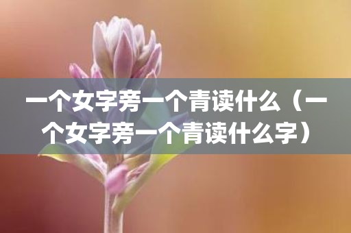 一个女字旁一个青读什么（一个女字旁一个青读什么字）