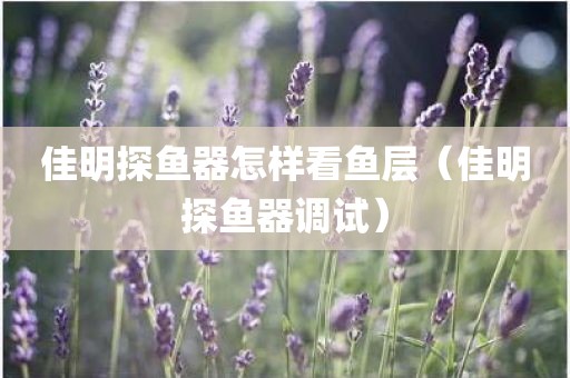 佳明探鱼器怎样看鱼层(佳明探鱼器调试) 佳明探鱼器怎样看鱼层(佳明探鱼器调试)