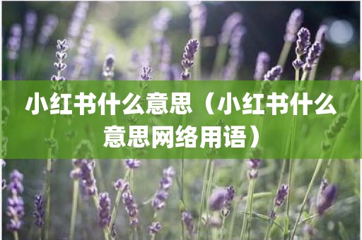 小红书什么意思（小红书什么意思网络用语）