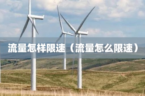 流量怎样限速（流量怎么限速）