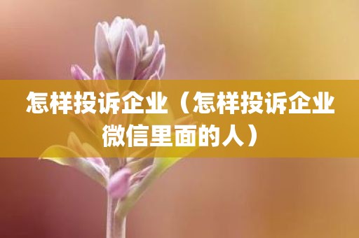 怎样投诉企业（怎样投诉企业微信里面的人）