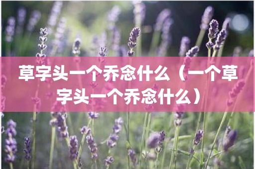 草字头一个乔念什么（一个草字头一个乔念什么）