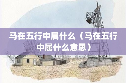 马在五行中属什么（马在五行中属什么意思）