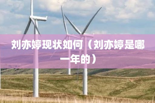 刘亦婷现状如何（刘亦婷是哪一年的）