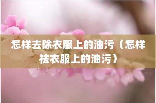 怎样去除衣服上的油污（怎样祛衣服上的油污）