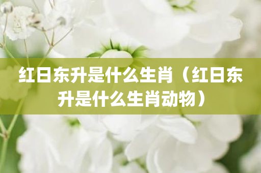 红日东升是什么生肖（红日东升是什么生肖动物）