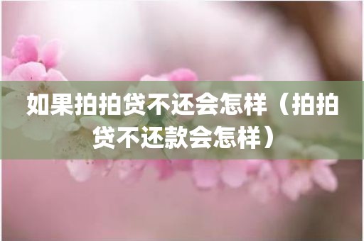 如果拍拍贷不还会怎样（拍拍贷不还款会怎样）