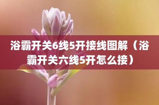 浴霸开关6线5开接线图解(浴霸开关六线5开怎么接)