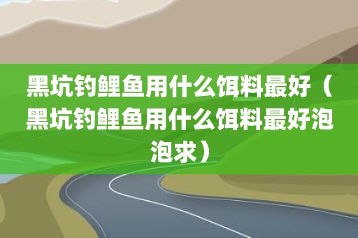 黑坑钓鲤鱼用什么饵料最好（黑坑钓鲤鱼用什么饵料最好泡泡求）
