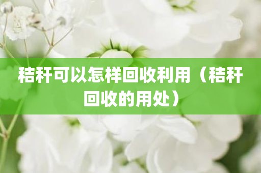 秸秆可以怎样回收利用（秸秆回收的用处）