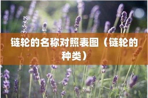 链轮的名称对照表图（链轮的种类）