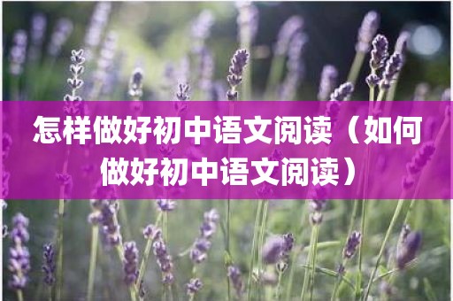 怎样做好初中语文阅读（如何做好初中语文阅读）