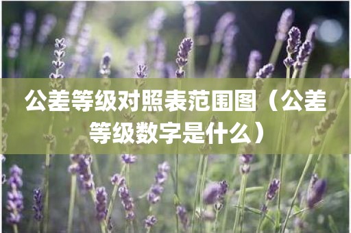 公差等级对照表范围图（公差等级数字是什么）