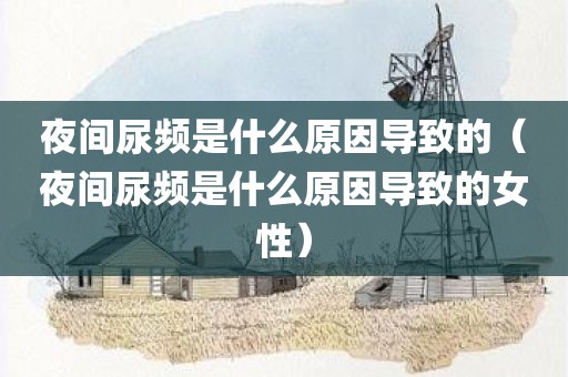 夜间尿频是什么原因导致的（夜间尿频是什么原因导致的女性）