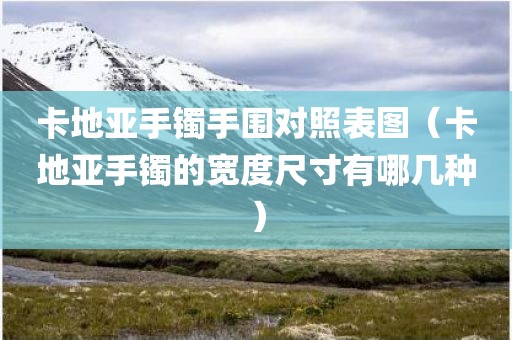 卡地亚手镯手围对照表图（卡地亚手镯的宽度尺寸有哪几种）