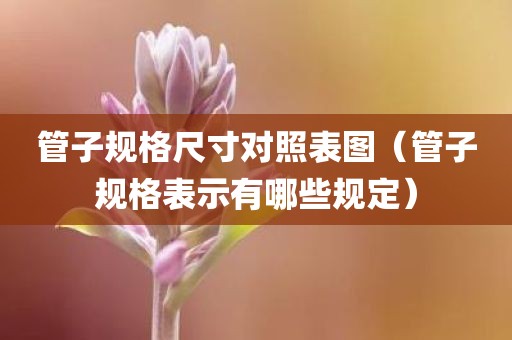管子规格尺寸对照表图（管子规格表示有哪些规定）