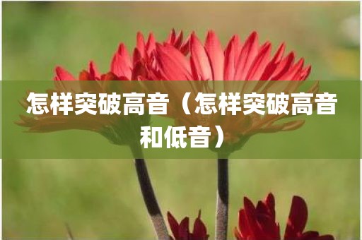 怎样突破高音（怎样突破高音和低音）