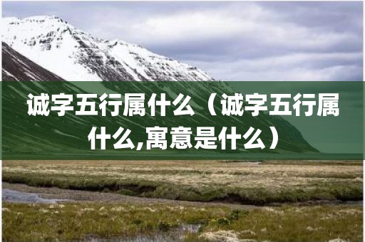 诚字五行属什么（诚字五行属什么,寓意是什么）