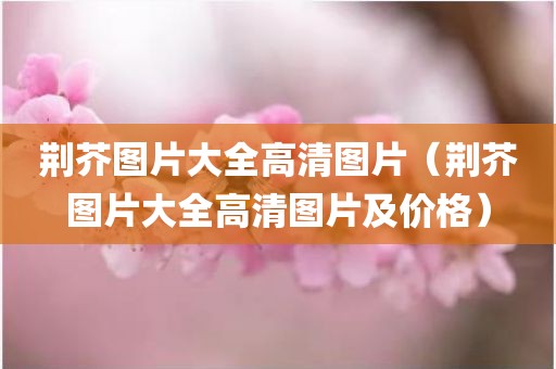 荆芥图片大全高清图片（荆芥图片大全高清图片及价格）