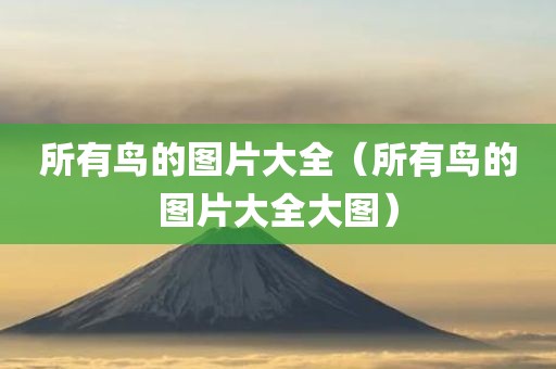 所有鸟的图片大全(所有鸟的图片大全大图) 所有鸟的图片大全(所有鸟的图片大全大图)