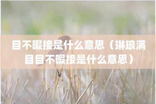 目不暇接是什么意思（琳琅满目目不暇接是什么意思）