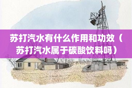 苏打汽水有什么作用和功效（苏打汽水属于碳酸饮料吗）