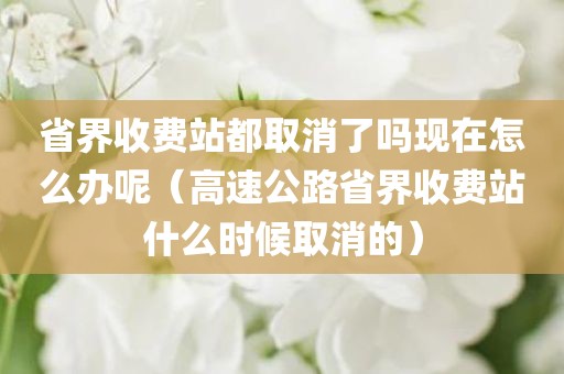 省界收费站都取消了吗现在怎么办呢（高速公路省界收费站什么时候取消的）
