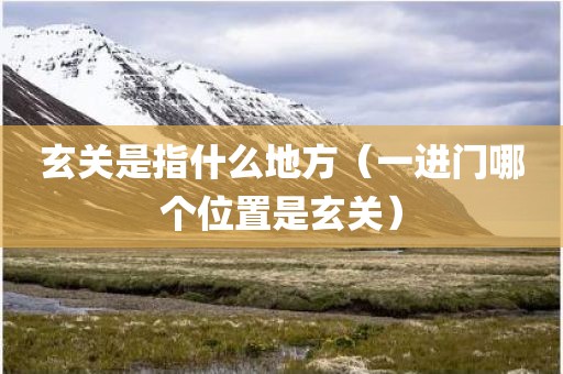 玄关是指什么地方（一进门哪个位置是玄关）
