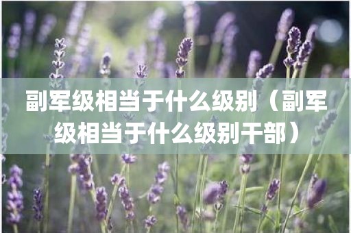 副军级相当于什么级别（副军级相当于什么级别干部）