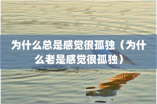 为什么总是感觉很孤独（为什么老是感觉很孤独）