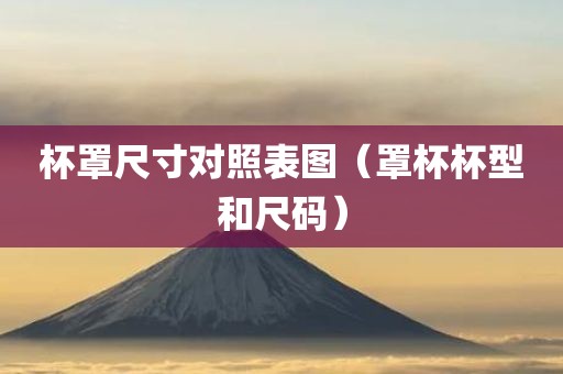 杯罩尺寸对照表图（罩杯杯型和尺码）