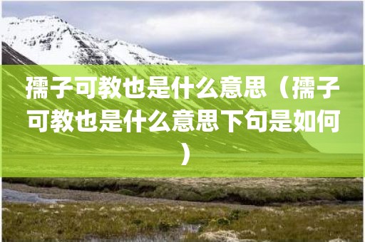 孺子可教也是什么意思（孺子可教也是什么意思下句是如何）