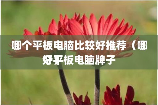 哪个平板电脑比较好推荐（哪个平板电脑牌子好）