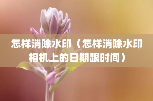 怎样消除水印（怎样消除水印相机上的日期跟时间）