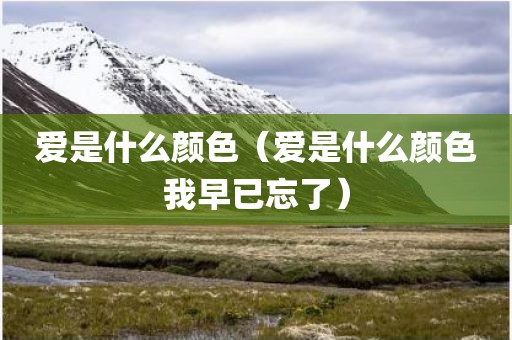 爱是什么颜色（爱是什么颜色我早已忘了）