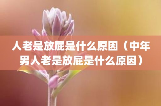 人老是放屁是什么原因（中年男人老是放屁是什么原因）