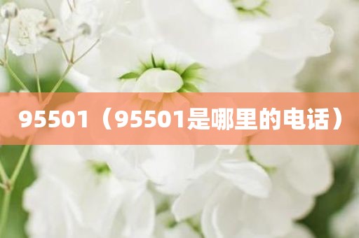 95501（95501是哪里的电话）